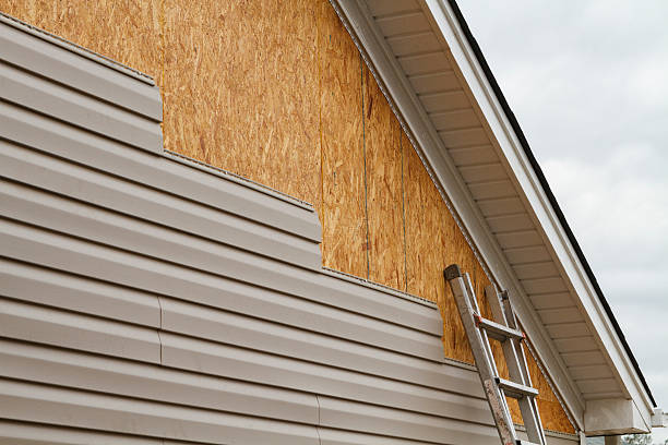 Best Custom Trim and Detailing for Siding  in Roscommon, MI